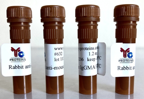632 Rabbit anti-mouse IgG, IgM, IgA polyclonal antibody FITC 1.2 mg