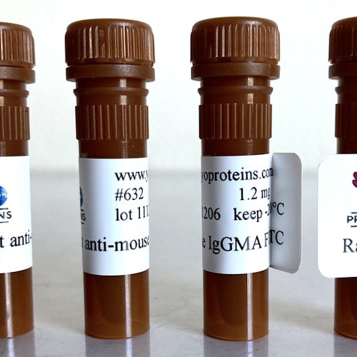 632 Rabbit anti-mouse IgG, IgM, IgA polyclonal antibody FITC 1.2 mg