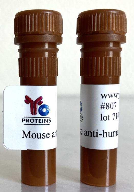 807 Mouse anti-human IgA monoclonal antibody, clone BFG-267 1 ml