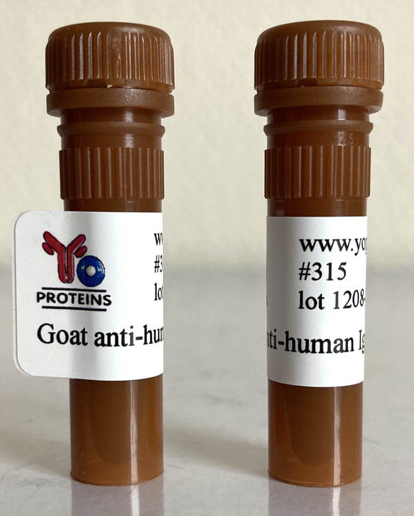315 Goat anti-human IgA polyclonal antibody 1 mg