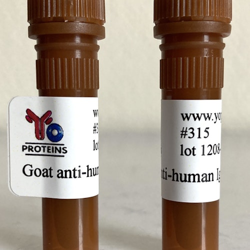 315 Goat anti-human IgA polyclonal antibody 1 mg