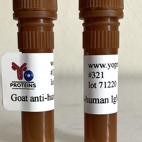 321 Goat anti-human IgM polyclonal antibody 1 mg