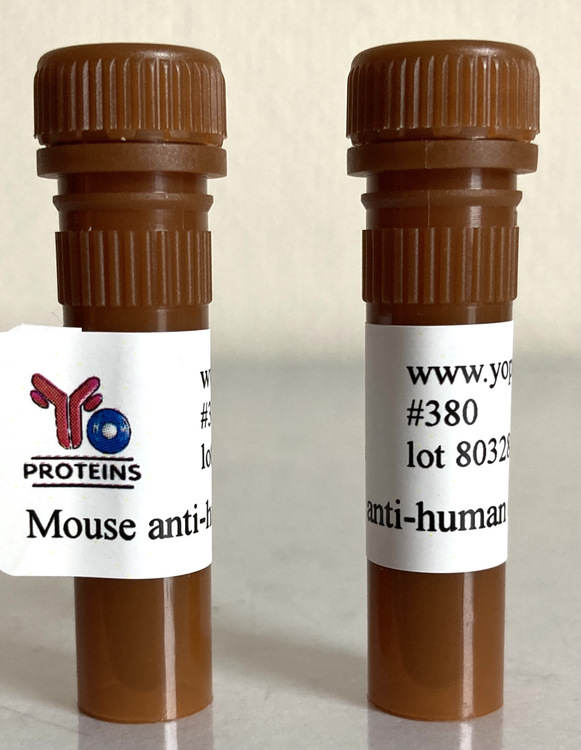 380 Mouse anti-human collagen type III monoclonal antibody, clone MC3-HA 1 ml