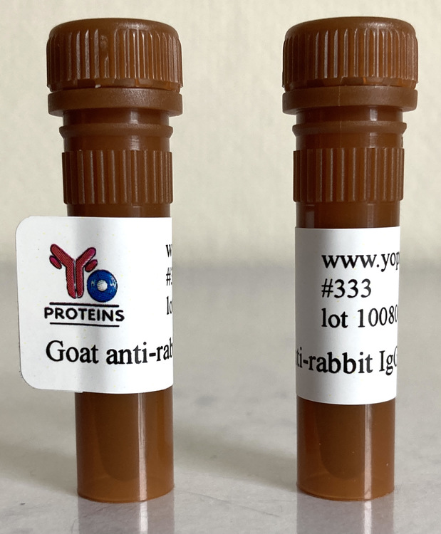 333 Goat anti-rabbit IgG, IgM, IgA polyclonal antibody 1 mg