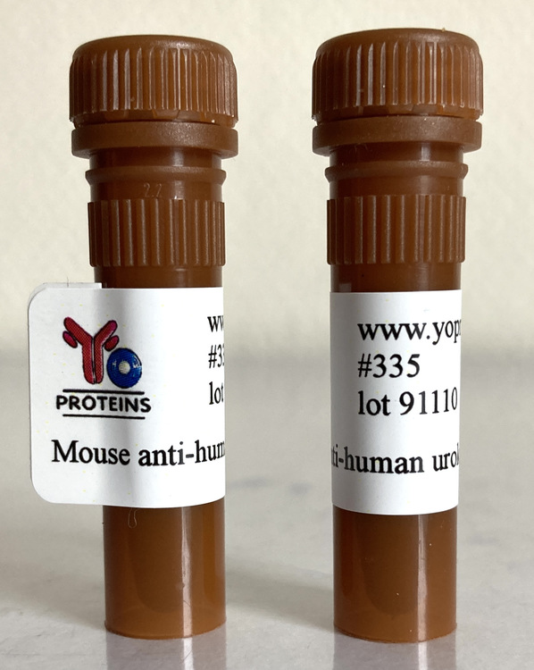 335 Mouse anti-human urokinase monoclonal antibody, clone PGM2005 1 ml