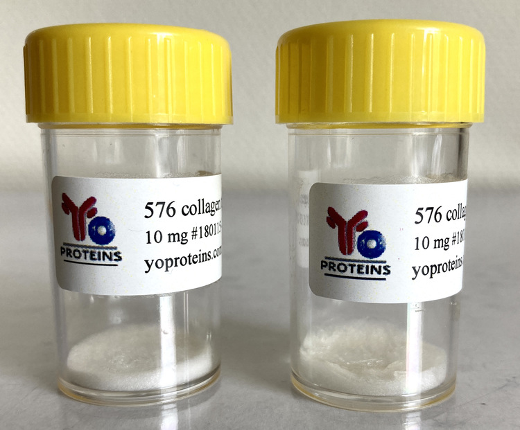 576 Collagen type III (bovine, atelocollagen suitable for 3D gel, sterile, lyophilized)