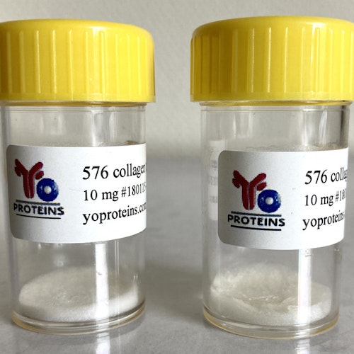 576 Collagen type III (bovine, atelocollagen suitable for 3D gel, sterile, lyophilized)