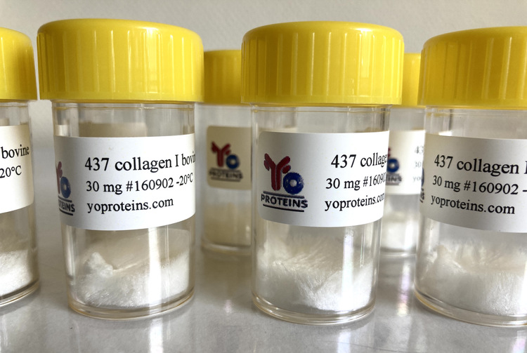 437 Collagen type I (bovine, atelocollagen suitable for 3D gel, sterile, lyophilized)