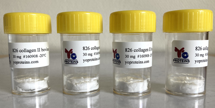 826-30 Collagen type II (bovine) 30 mg