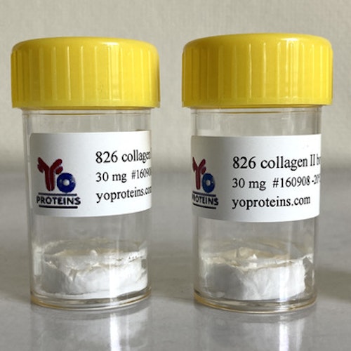 826-30 Collagen type II (bovine) 30 mg