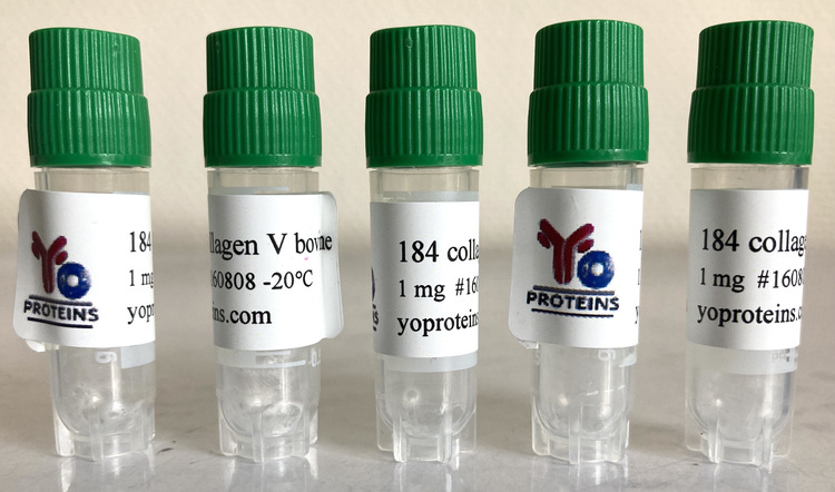 184 Collagen type V (bovine, atelocollagen, sterile, lyophilized)