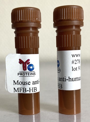 278 Mouse anti-human Fibrin/Fibrinogen monoclonal antibody, clone MFB-HB 1 ml