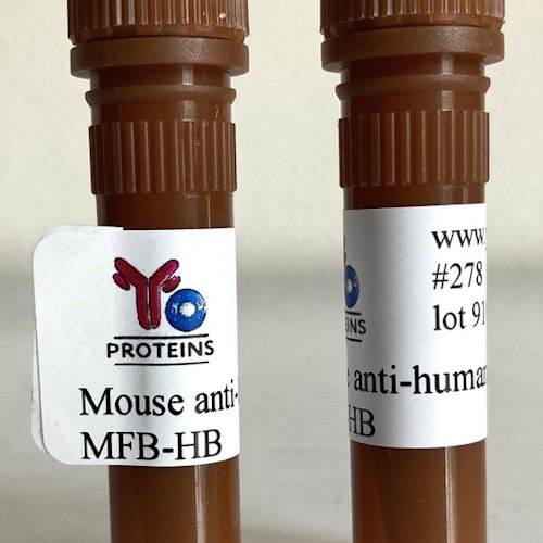 278 Mouse anti-human Fibrin/Fibrinogen monoclonal antibody, clone MFB-HB 1 ml