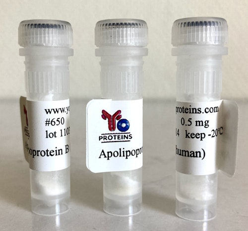 650 Apolipoprotein B (human) 0.5 mg