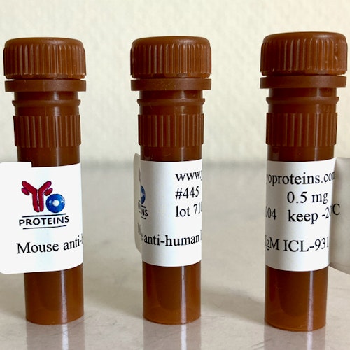 445 Mouse anti-human IgM monoclonal antibody, clone ICL-931 0.5 ml