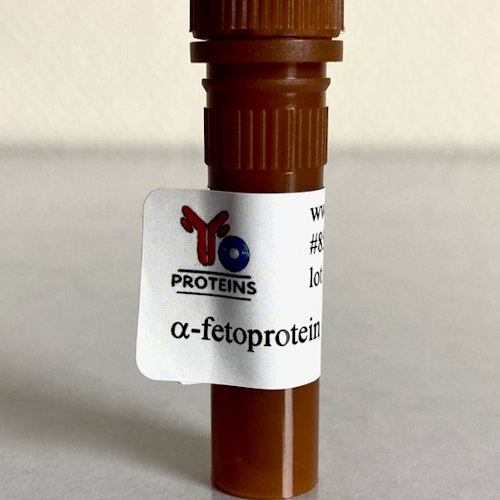 858 alpha fetoprotein (human) 0.1 mg