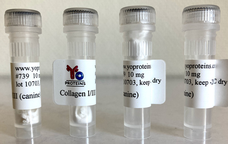 739 Collagen type I and III (canine) 10 mg