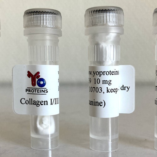 739 Collagen type I and III (canine) 10 mg