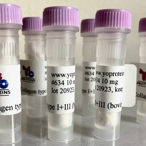 634 Collagen type I and III (bovine) 10 mg