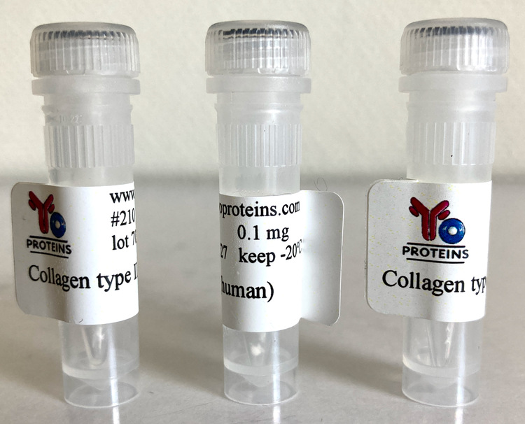 210 Collagen type II (human) 0.1 mg