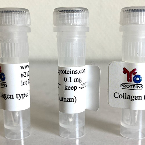 210 Collagen type II (human) 0.1 mg