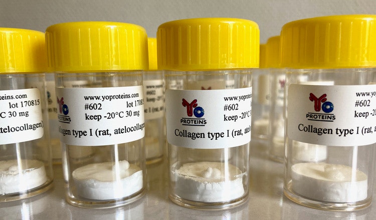 602 Collagen type I (rat, atelocollagen suitable for 3D gel, sterile, lyophilized)