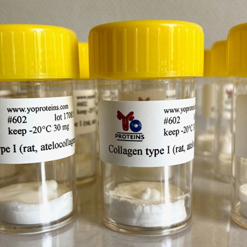 602 Collagen type I (rat, atelocollagen suitable for 3D gel, sterile, lyophilized)