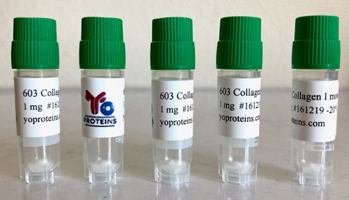 603 Collagen type I (mouse, atelocollagen suitable for 3D gel, sterile, lyophilized)