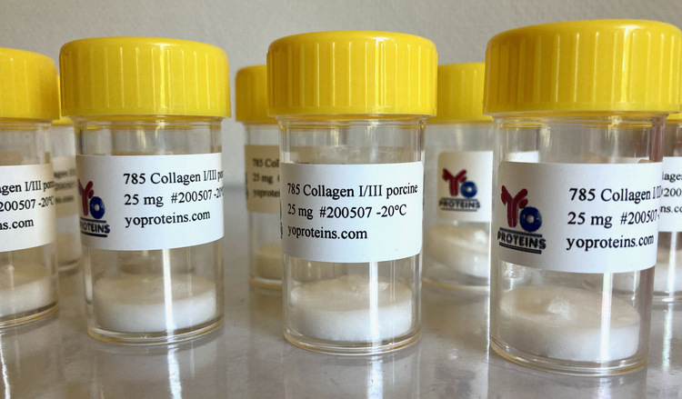 785 Collagen type I/III (porcine, atelocollagen suitable for 3D gel, sterile, lyophilized)