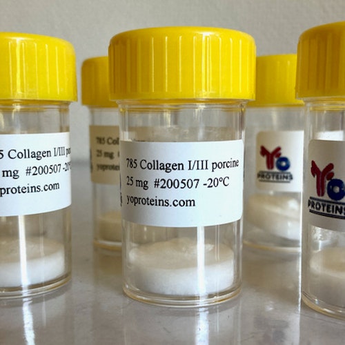 785 Collagen type I/III (porcine, atelocollagen suitable for 3D gel, sterile, lyophilized)