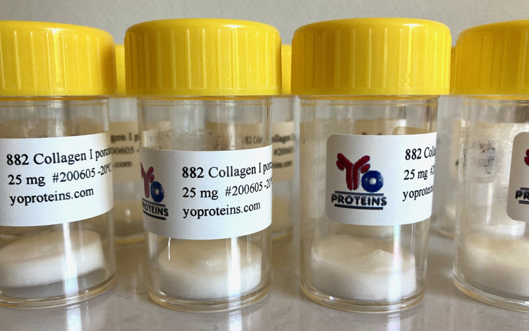 882 Collagen type I (porcine, native collagen suitable for 3D gel, sterile, lyophilized)