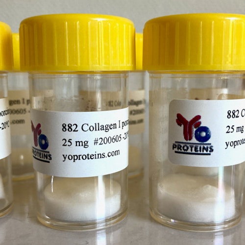 882 Collagen type I (porcine, native collagen suitable for 3D gel, sterile, lyophilized)