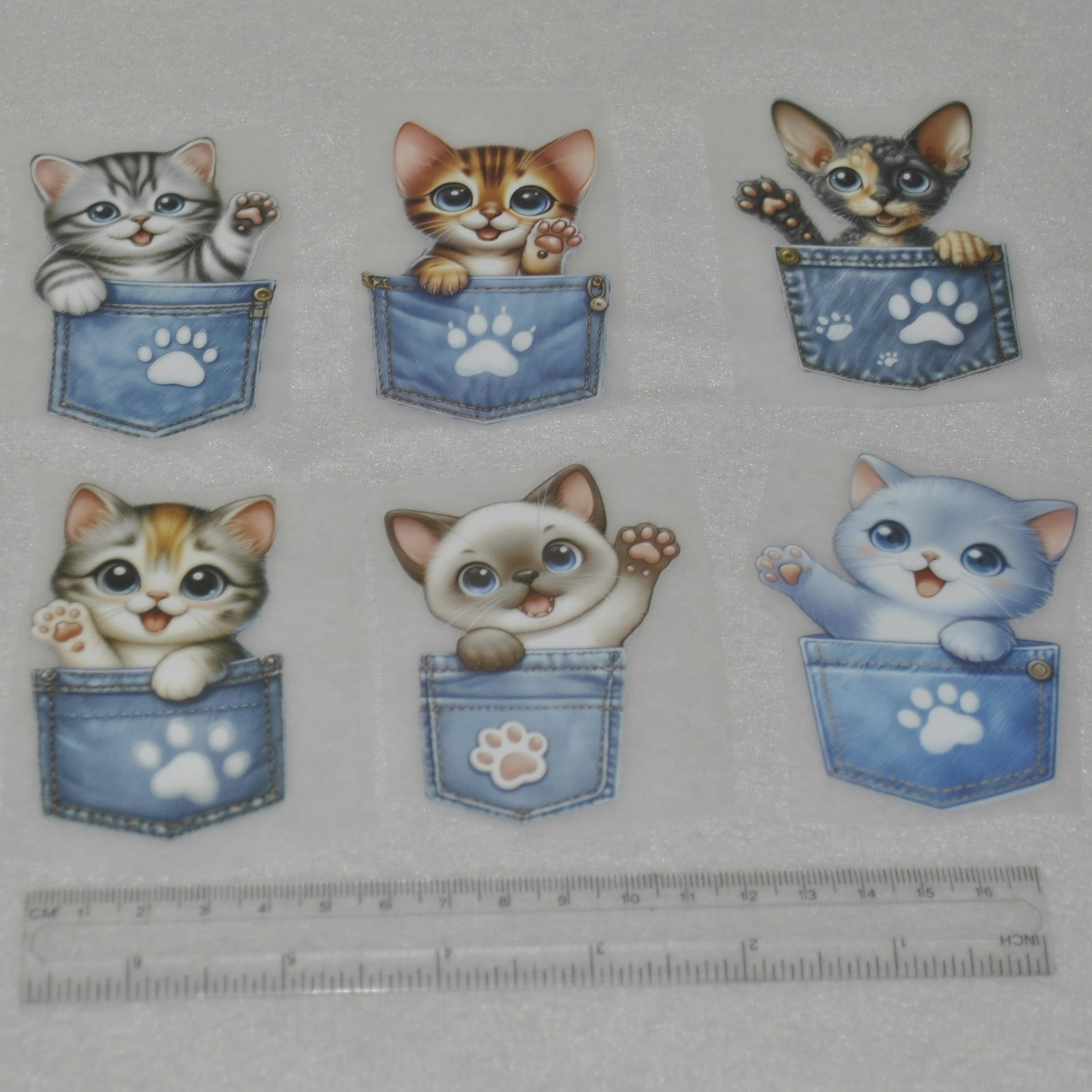 Vinyltryck Katt i jeansficka ca 5 x 8 cm