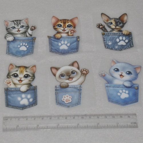 Vinyltryck Katt i jeansficka ca 5 x 8 cm