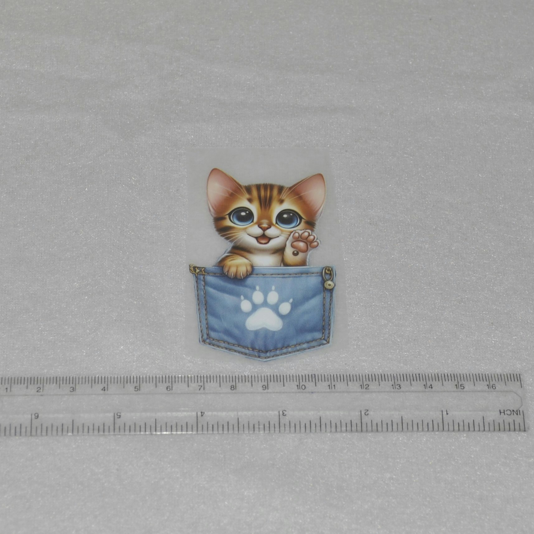 Vinyltryck Katt i jeansficka ca 5 x 8 cm