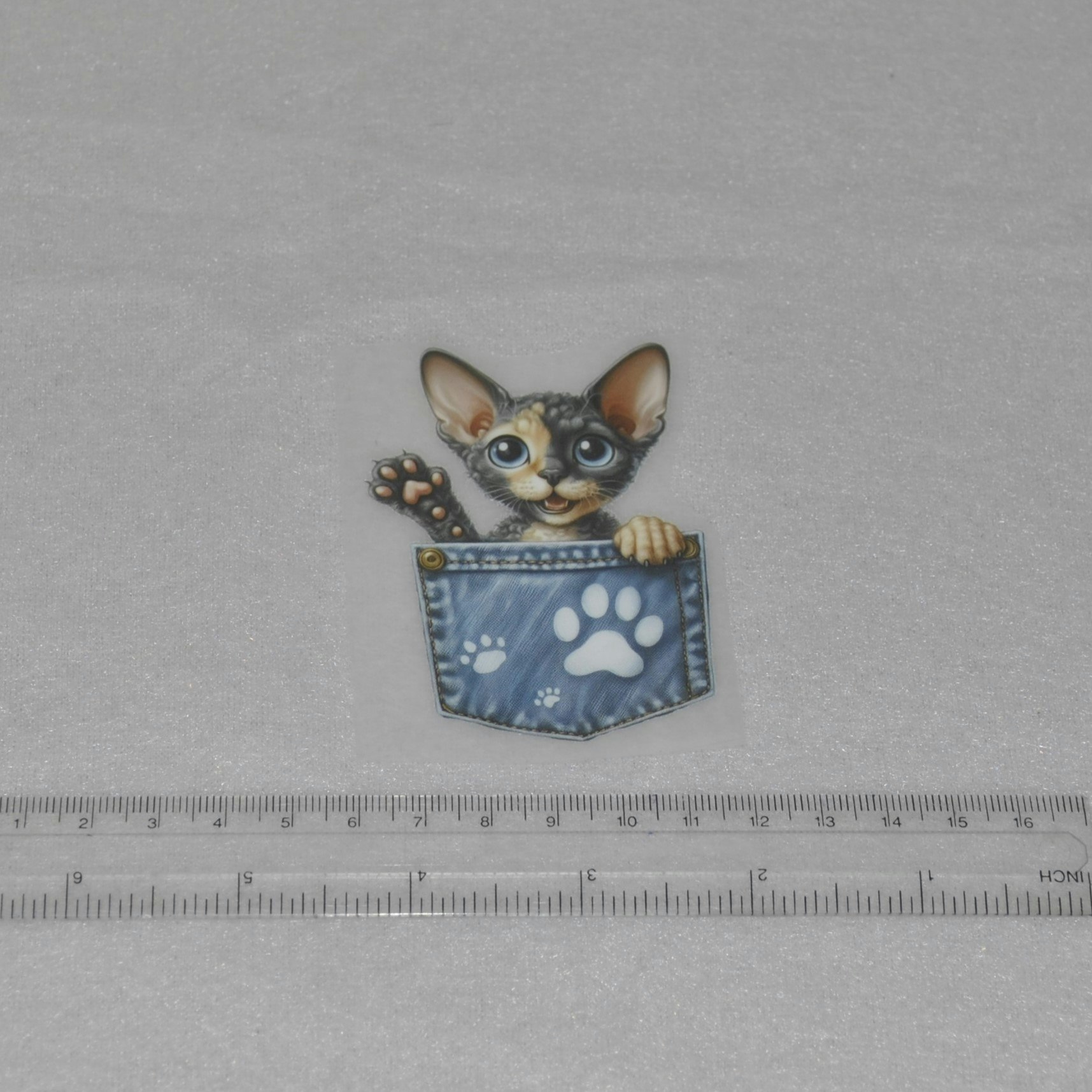 Vinyltryck Katt i jeansficka ca 5 x 8 cm