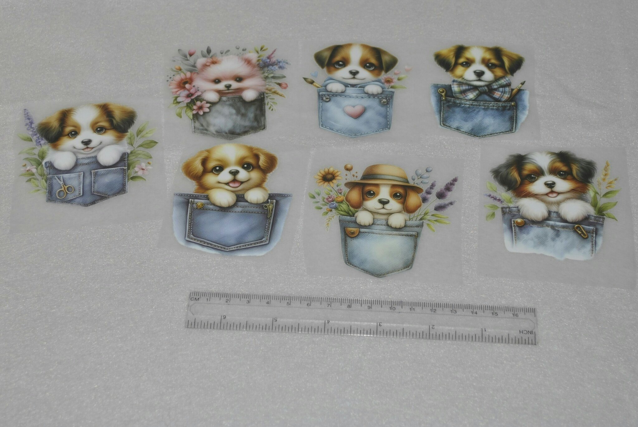 Vinyltryck Hund i jeansficka ca 6-7 x 7-8 cm