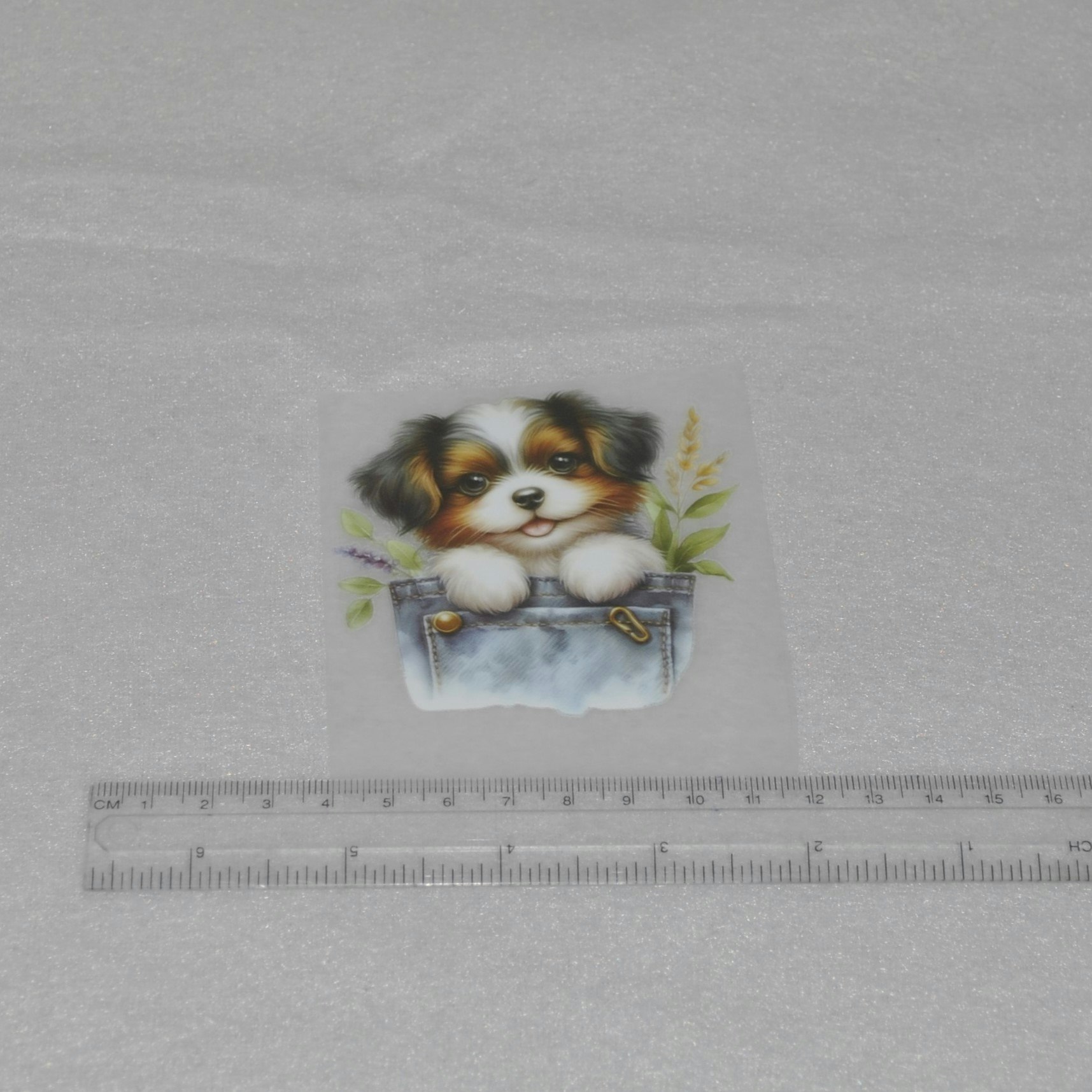 Vinyltryck Hund i jeansficka ca 6-7 x 7-8 cm