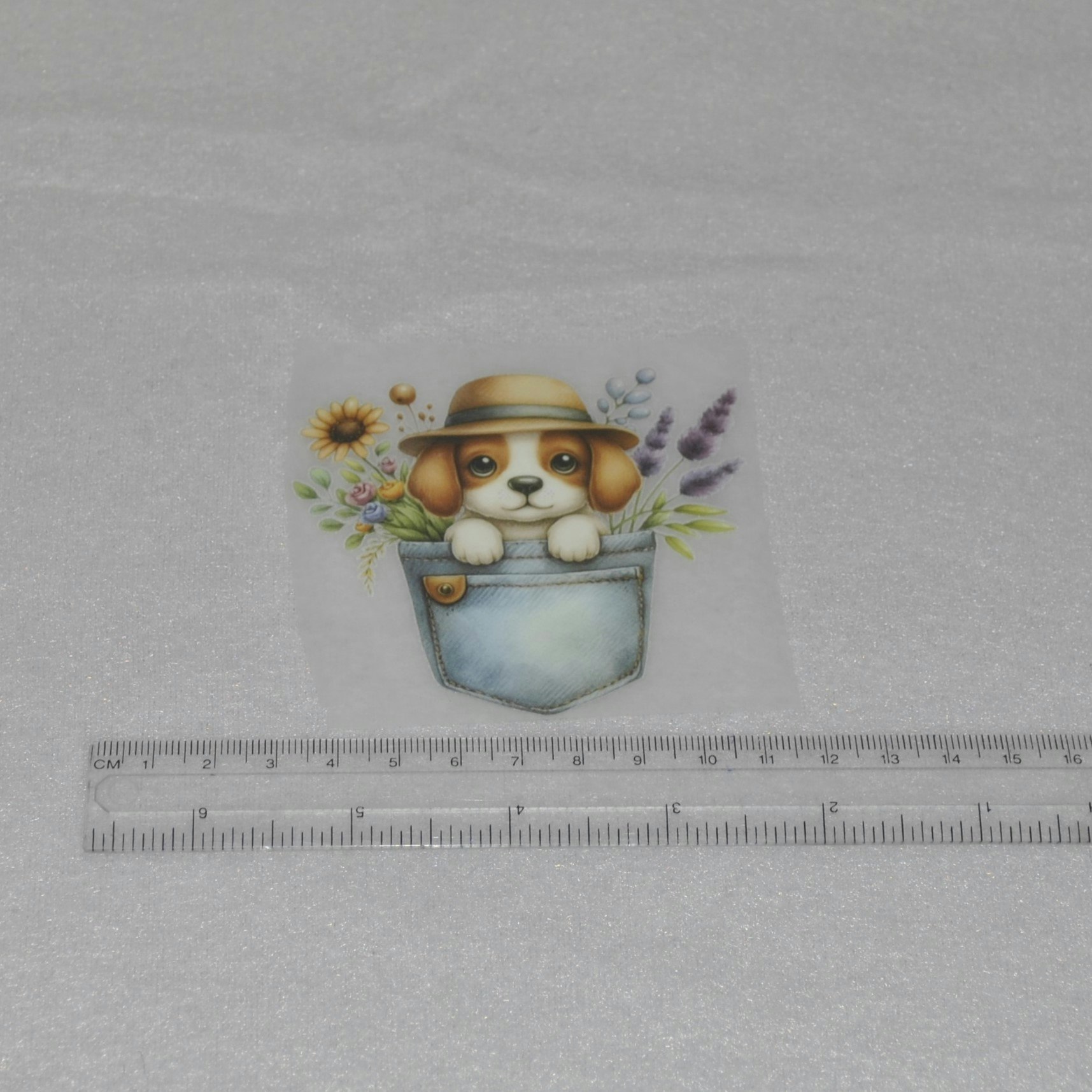 Vinyltryck Hund i jeansficka ca 6-7 x 7-8 cm