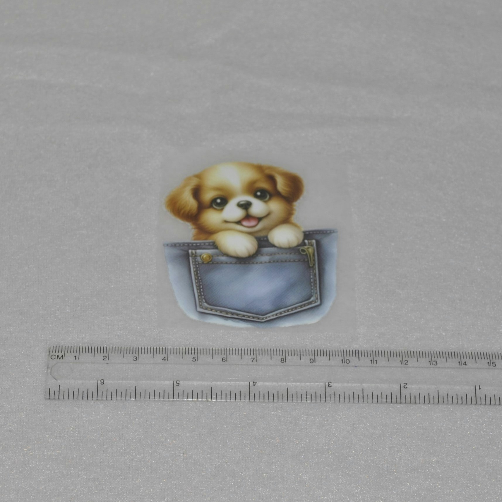 Vinyltryck Hund i jeansficka ca 6-7 x 7-8 cm
