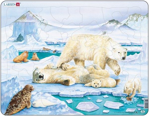 Isbjörnar - Larsen