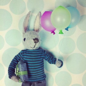 Pippi & Me - Happy Birthday Bunny