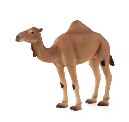 Mojo arabisk kamel