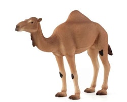 Mojo arabisk kamel