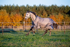 Outdoor Paddock Täcke