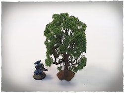 Model trees – 32 mm scale, oak