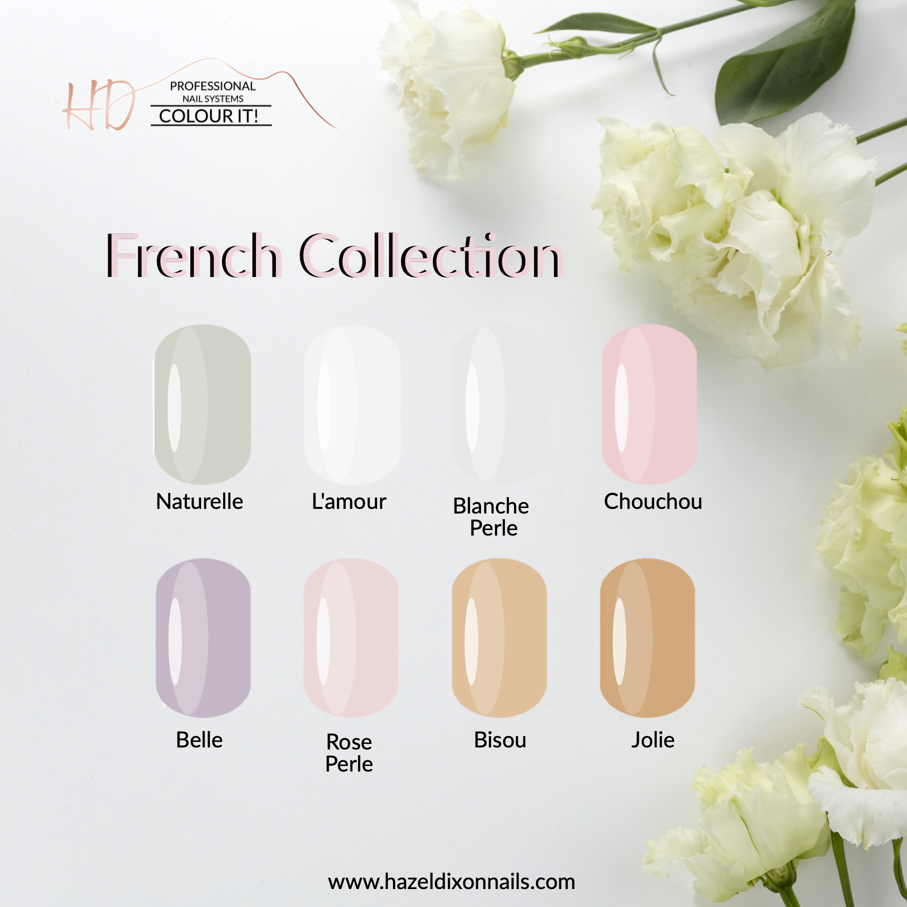 Press On Nails - French Collection