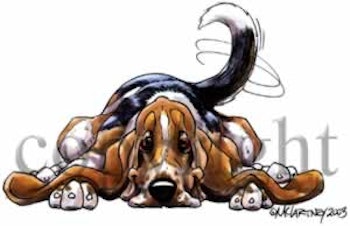 Keps, Rug dog – Basset hound