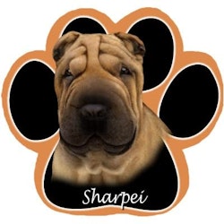 Musmatta, tass – Shar pei