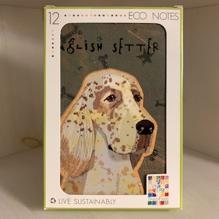 Kort, Eco notes – Engelsk setter